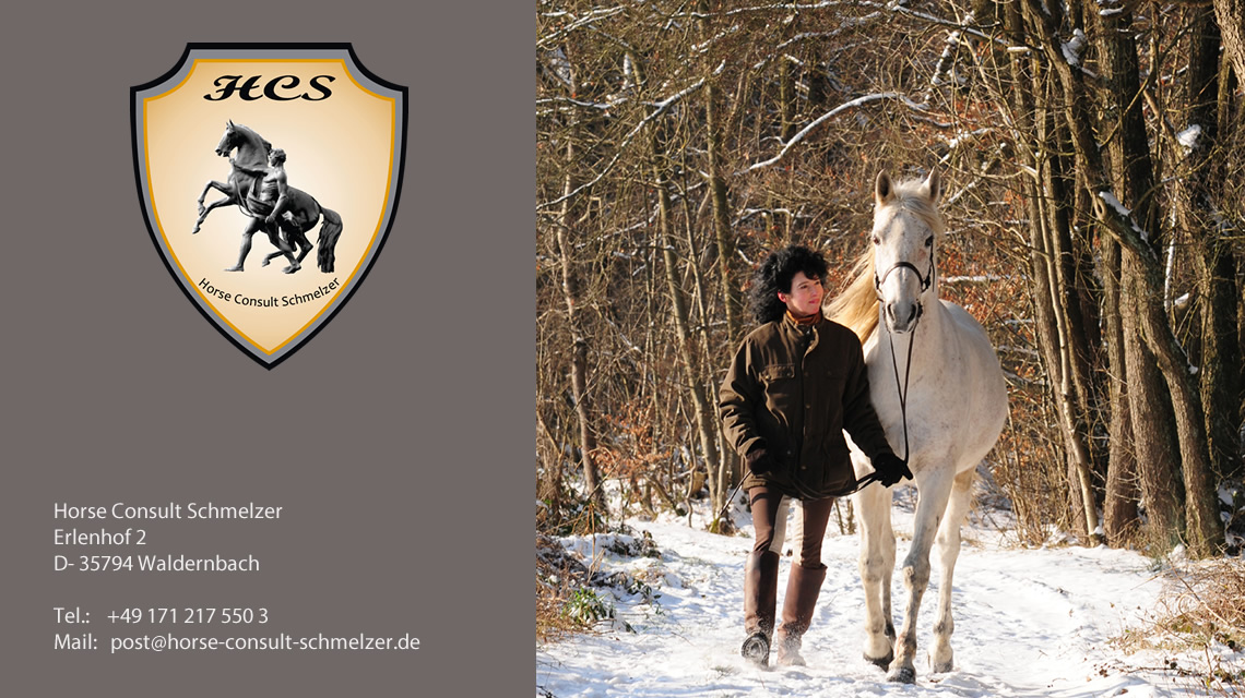 HCS - Blog für die Pferdebranche
