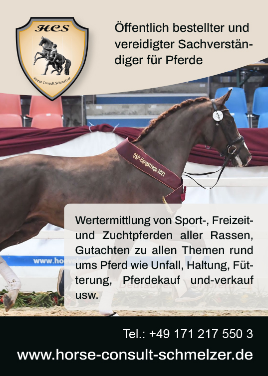 Gutachter für Pferdehaltung - Ulrich Schmelzer 