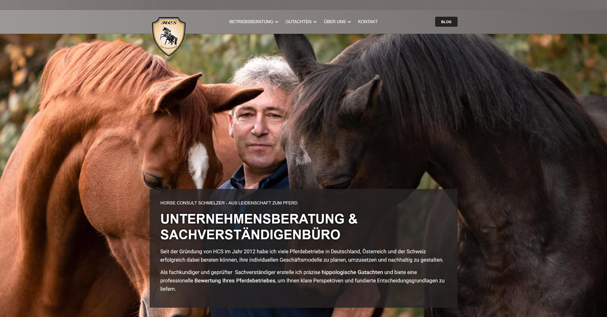 Marketing: Neues Design für Horse Consult Schmelzer
