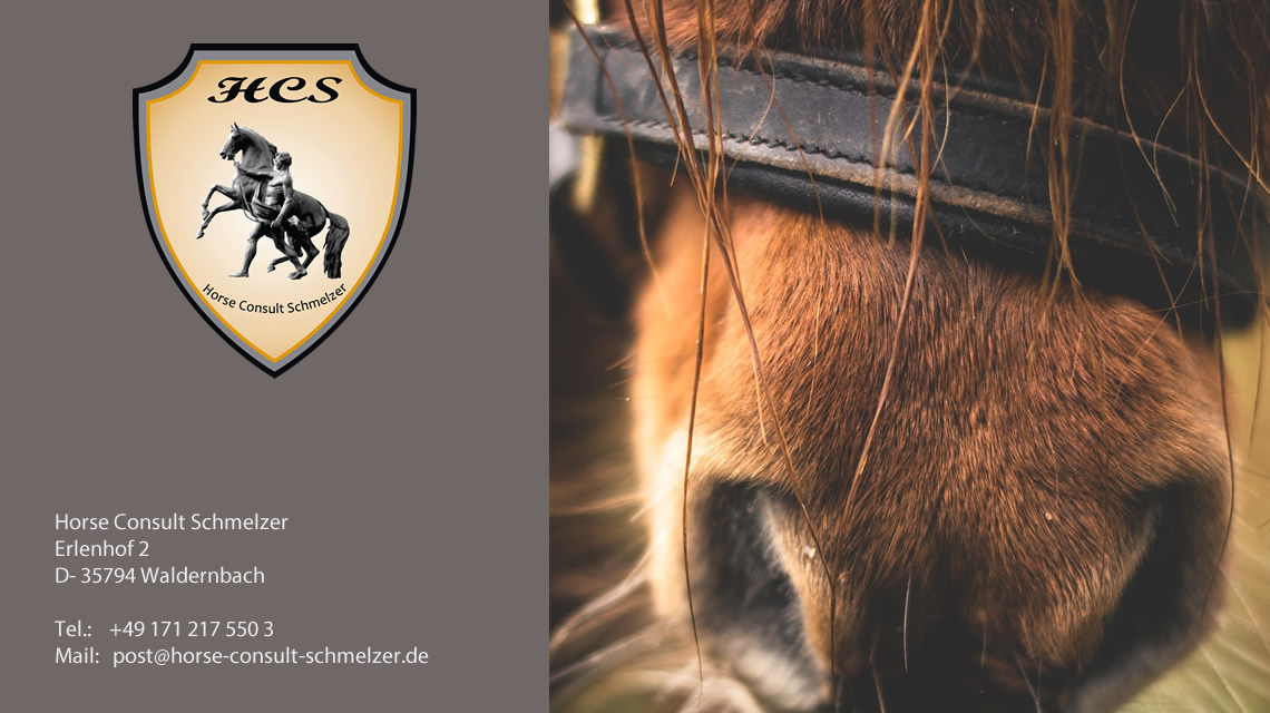 HCS - Blog für die Pferdebranche