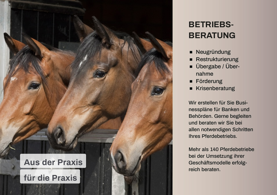 Optimierungs-Check f&uuml;r Pferdebetriebe: Ihr Weg zu mehr Effizienz und Wirtschaftlichkeit