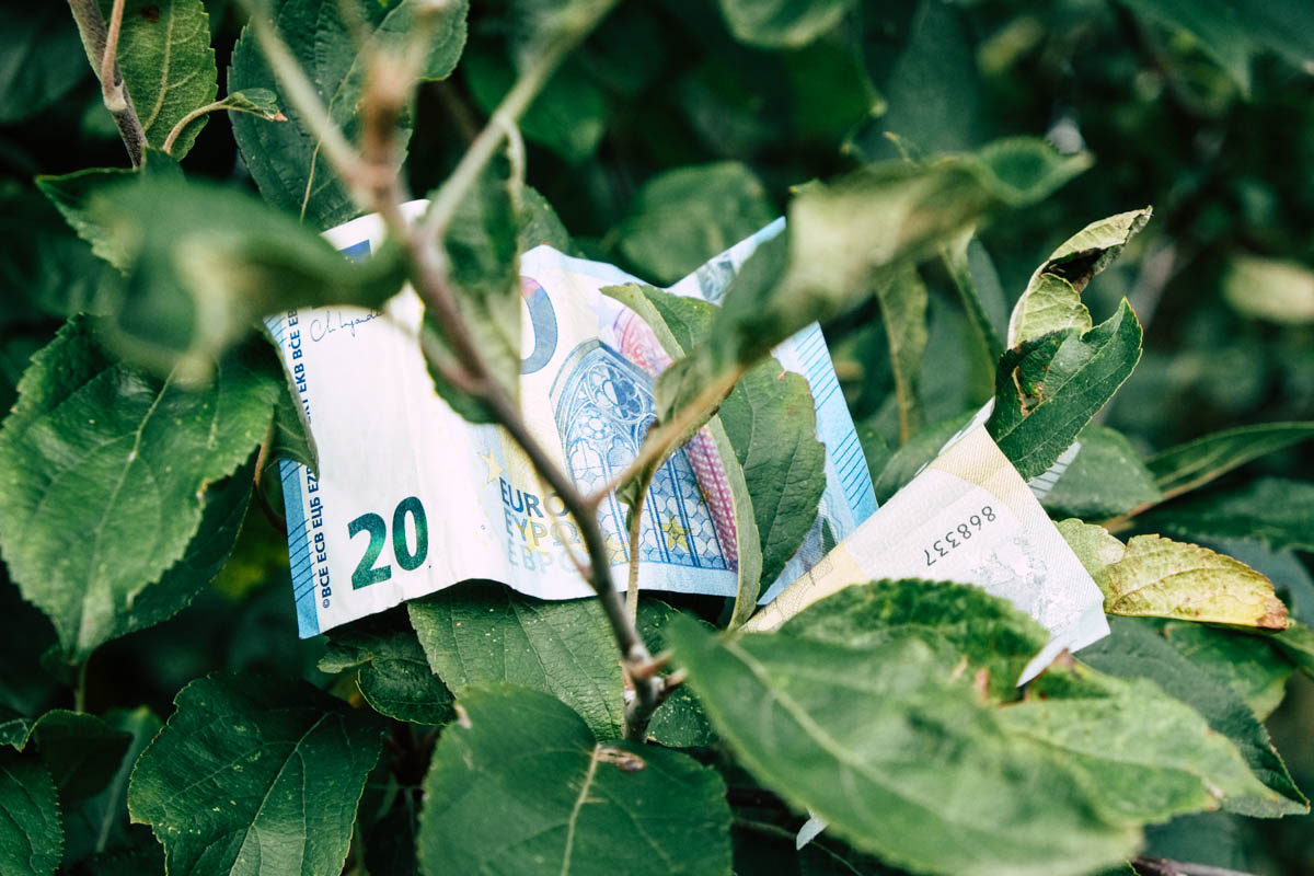 Fördermittel und -programme für Gründer, Freiberufler und Unternehmen