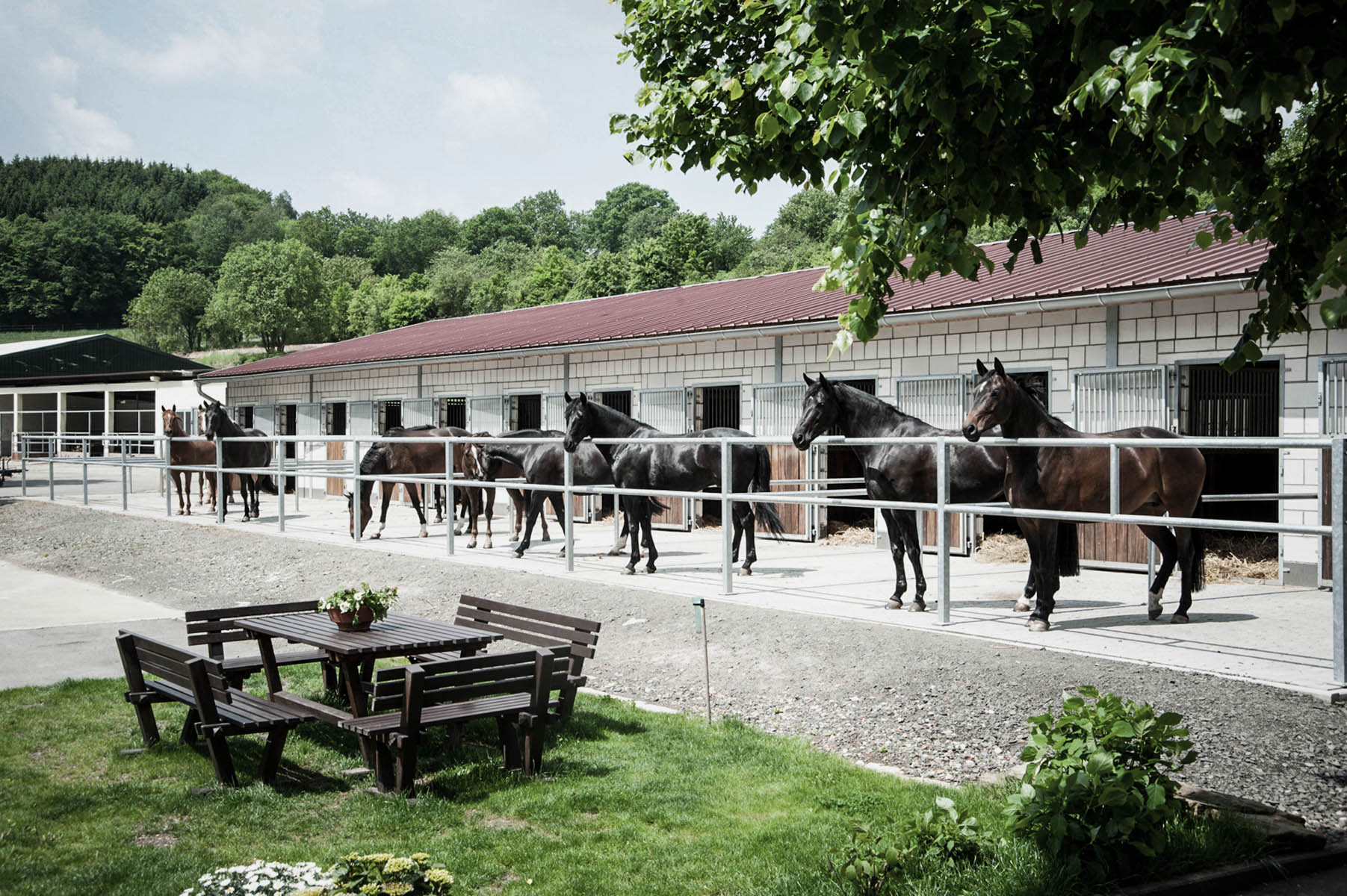 Worauf es beim Verkauf oder Kauf von Pferdeimmobilien ankommt?