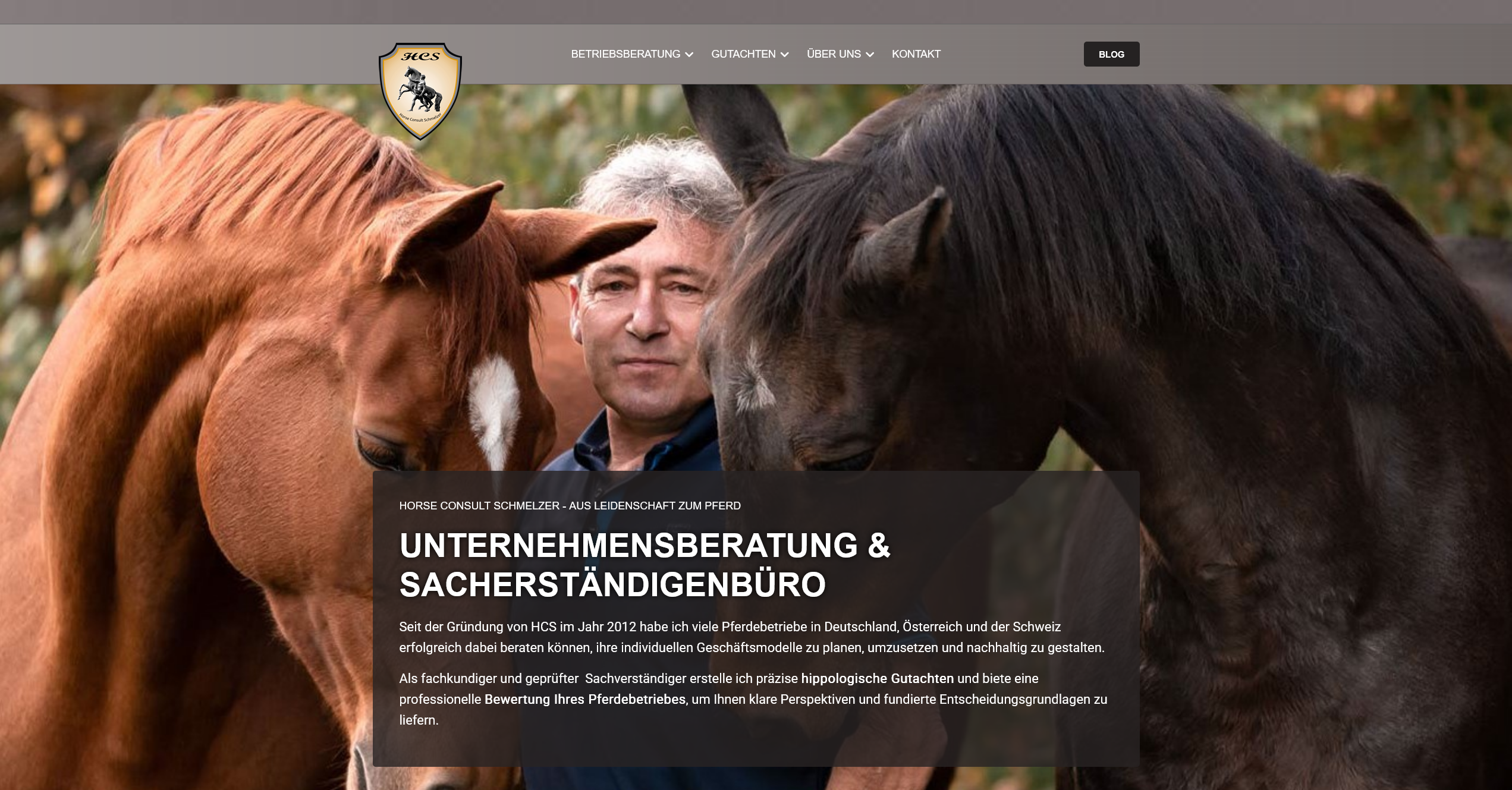 Marketing: Neues Design für Horse Consult Schmelzer