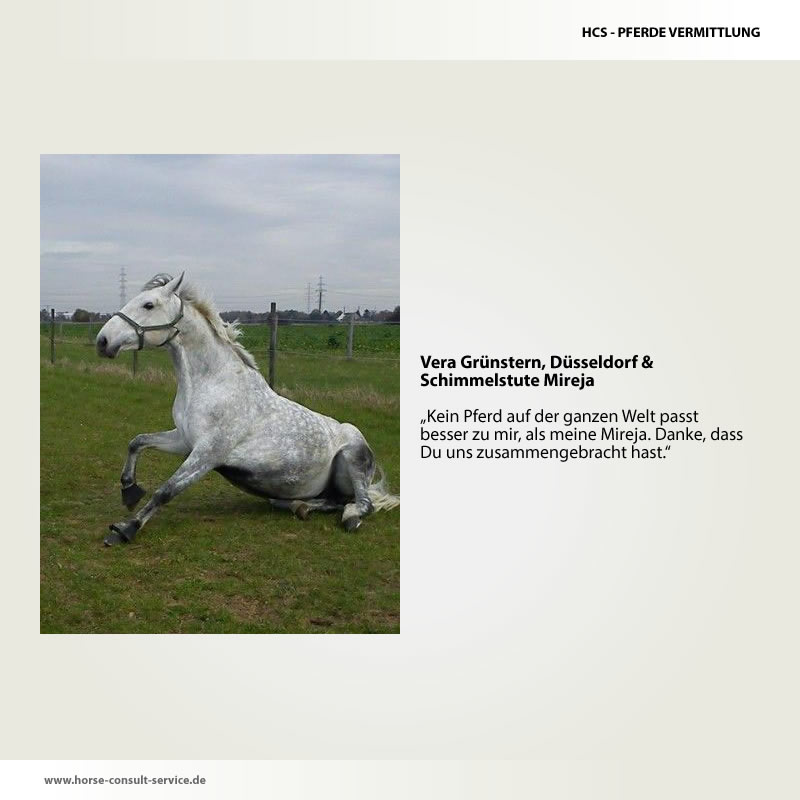 Pferdevermittlung