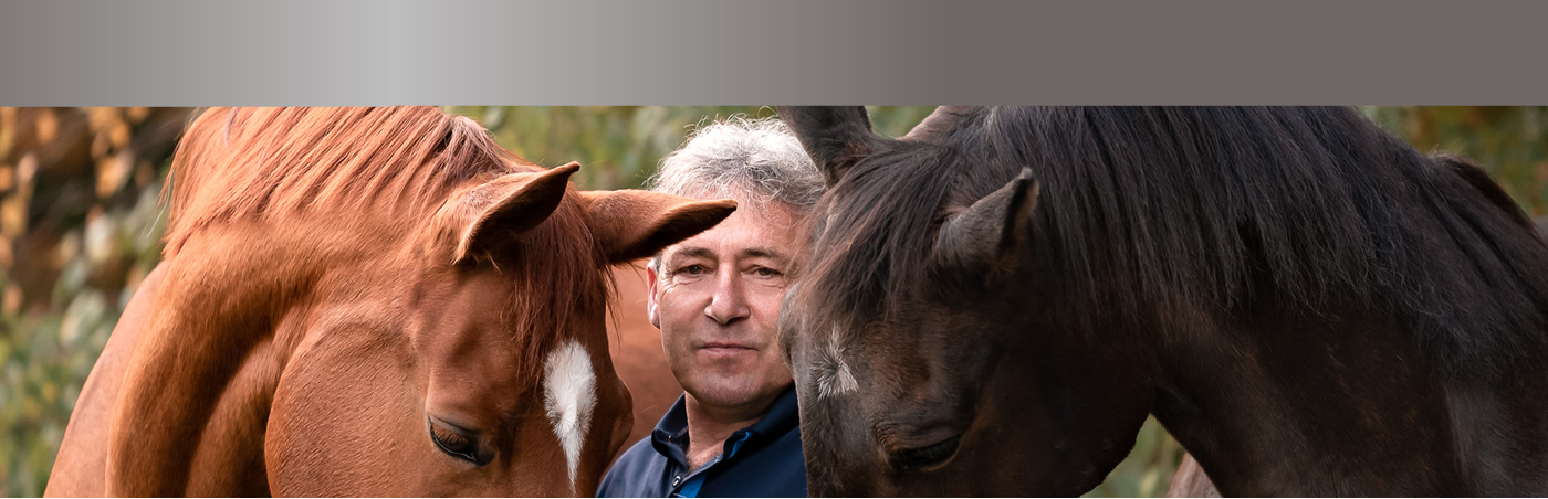 Horse Consult Schmelzer